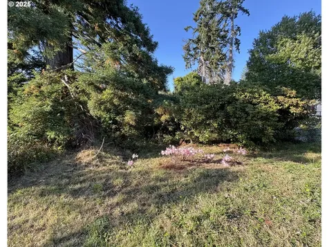 616 Pacific Avenue Brookings OR 97415