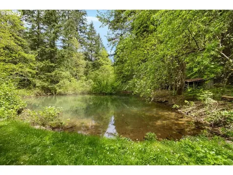 2128 Starveout Creek Road Azalea OR 97410