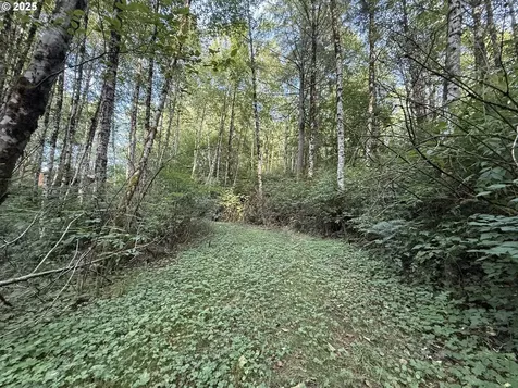 70407 Schumacher Road Rainier OR 97048