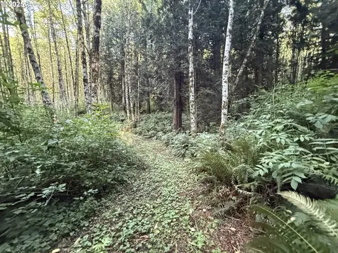 70407 Schumacher Road Rainier OR 97048