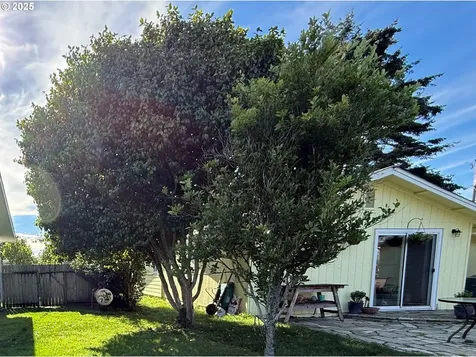 221 Musser Street Brookings OR 97415