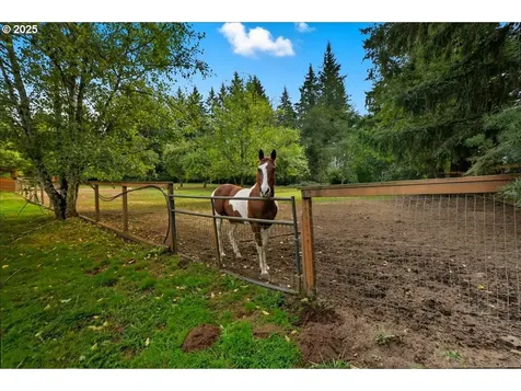 24415 NE 219th Street Battle Ground WA 98604