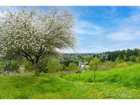 351 Butte Hill Road Woodland WA 98674