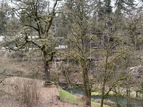 620 Maple Street Lake Oswego OR 97034