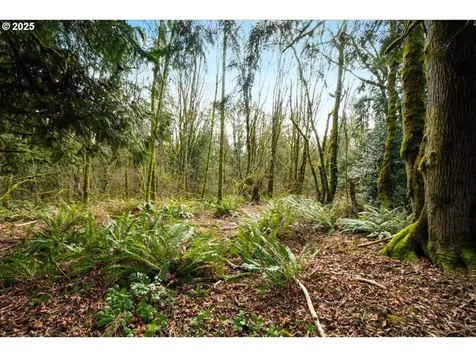 1715 NE 169th Street Ridgefield WA 98642
