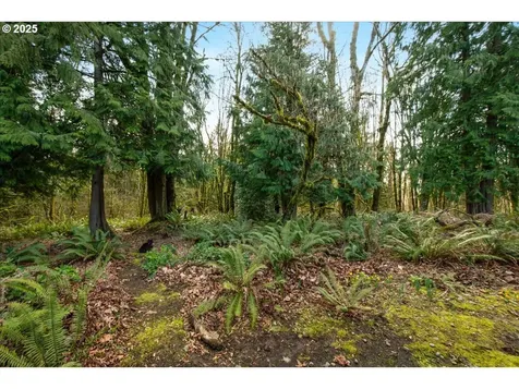 1715 NE 169th Street Ridgefield WA 98642