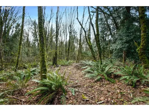 1715 NE 169th Street Ridgefield WA 98642