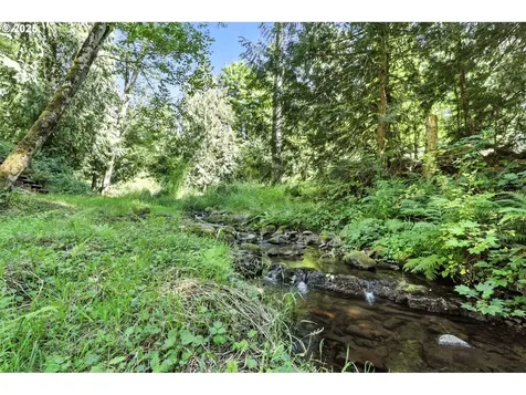 120 Skinner Road Woodland WA 98674