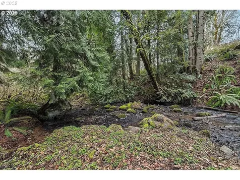 27690 SW Strawberry Hill Drive Hillsboro OR 97123