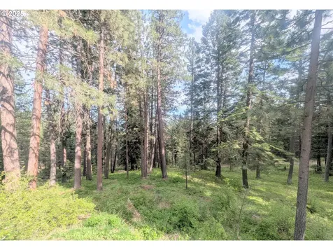 63698 Owsley Canyon Road La Grande OR 97850