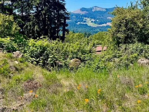 802 W Jewett Boulevard White Salmon WA 98672