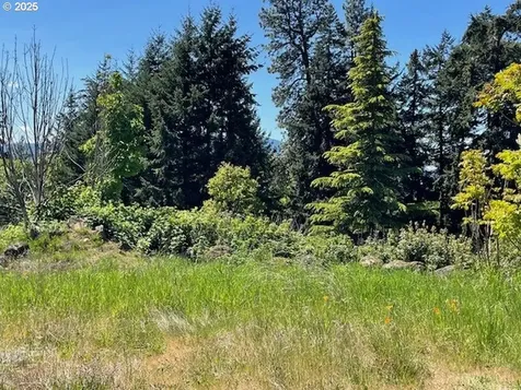 802 W Jewett Boulevard White Salmon WA 98672