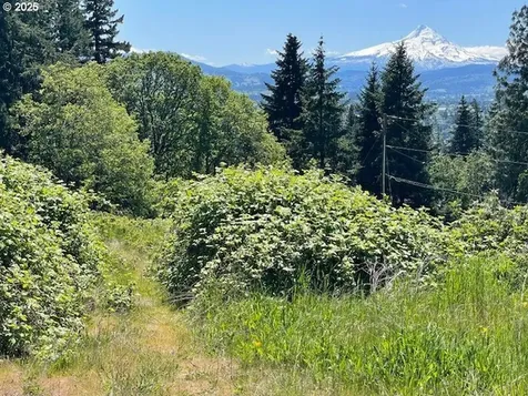 802 W Jewett Boulevard White Salmon WA 98672