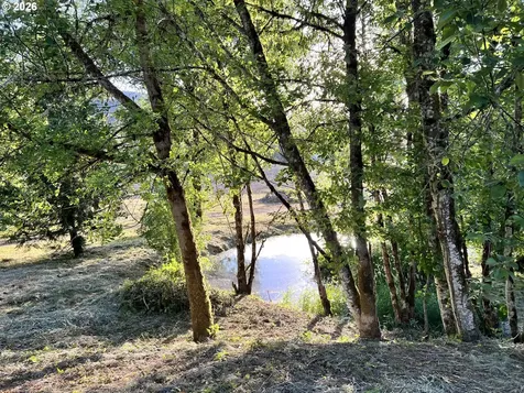 21090 NW Dairy Creek Road North Plains OR 97133
