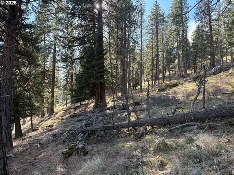 0 Lakeshore Drive Wallowa Lake OR 97846