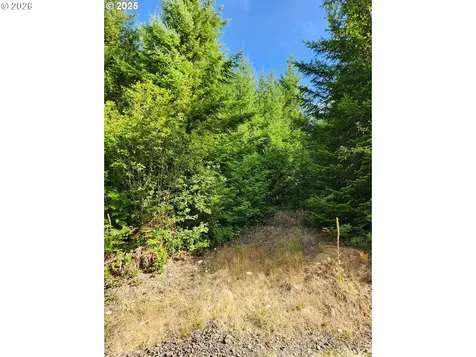 Tumala Mountain Road Estacada OR 97023