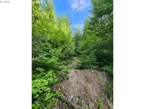 Tumala Mountain Road Estacada OR 97023