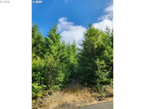 Tumala Mountain Road Estacada OR 97023
