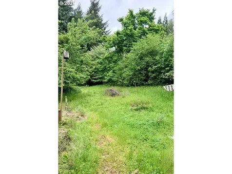 32424 Camas Swale Road Creswell OR 97426