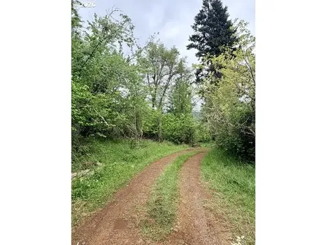32424 Camas Swale Road Creswell OR 97426