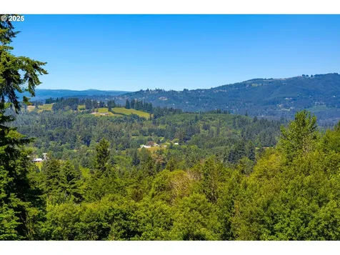 3412 NE 399th Street La Center WA 98629