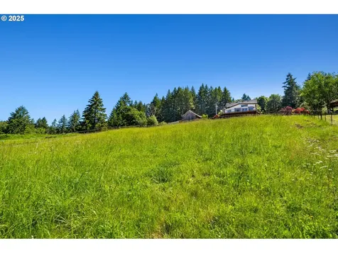3412 NE 399th Street La Center WA 98629