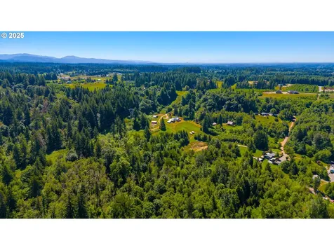 3412 NE 399th Street La Center WA 98629