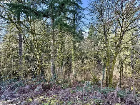 11501 NW 10th Court Vancouver WA 98685
