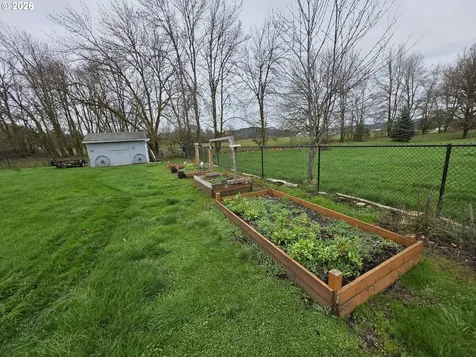 1294 Boistfort Road Curtis WA 98538