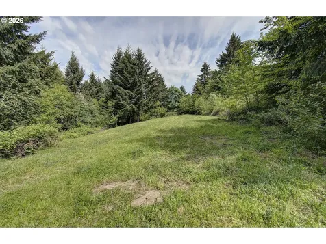 248 Harlequin Court Woodland WA 98674
