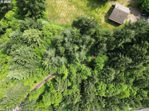 248 Harlequin Court Woodland WA 98674