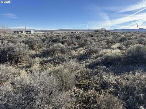 Cedar Street Christmas Valley OR 97641