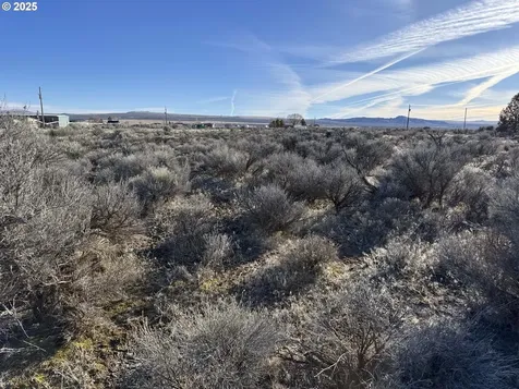 Cedar Street Christmas Valley OR 97641