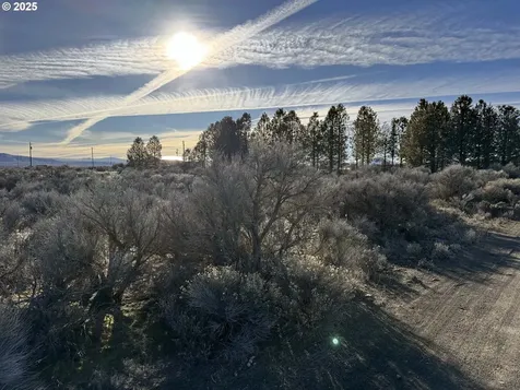 Cedar Street Christmas Valley OR 97641