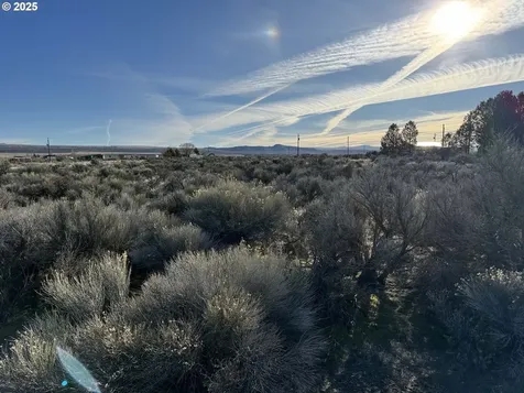 Cedar Street Christmas Valley OR 97641