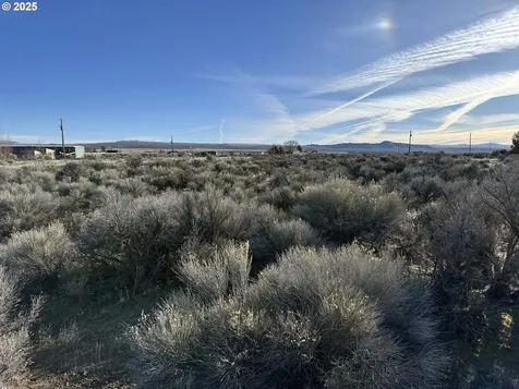 Cedar Street Christmas Valley OR 97641