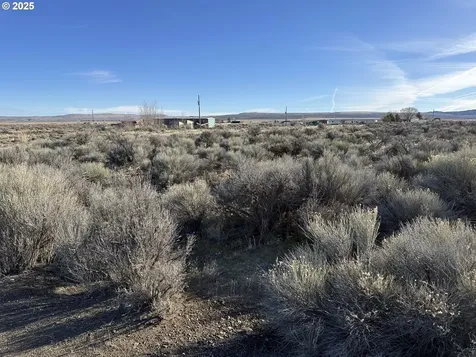 Cedar Street Christmas Valley OR 97641