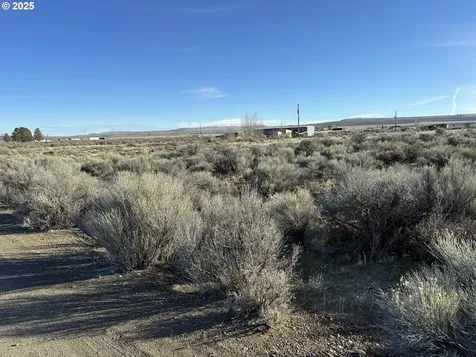 Cedar Street Christmas Valley OR 97641