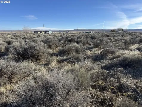 Cedar Street Christmas Valley OR 97641