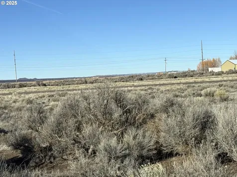Cedar Street Christmas Valley OR 97641