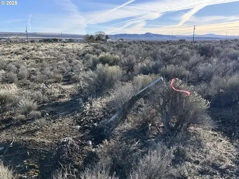 Cedar Street Christmas Valley OR 97641