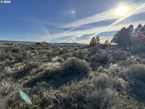 Cedar Street Christmas Valley OR 97641