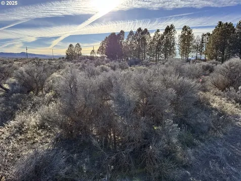 Cedar Street Christmas Valley OR 97641