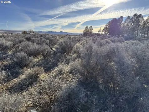 Cedar Street Christmas Valley OR 97641