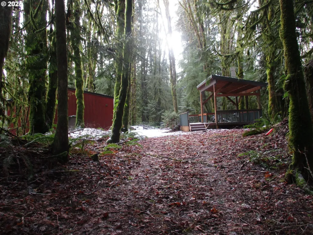 00000 Timber Road Vernonia OR 97064