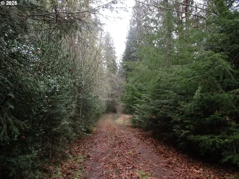 00000 Timber Road Vernonia OR 97064