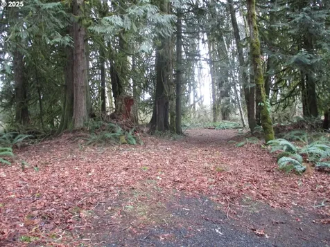 00000 Timber Road Vernonia OR 97064