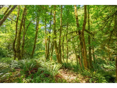9920 SW Gilbert Creek Road Willamina OR 97396