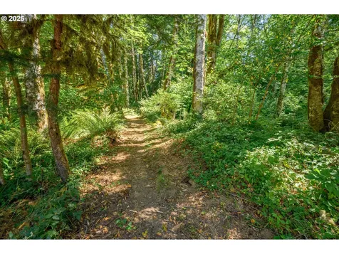 9920 SW Gilbert Creek Road Willamina OR 97396