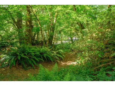 9920 SW Gilbert Creek Road Willamina OR 97396